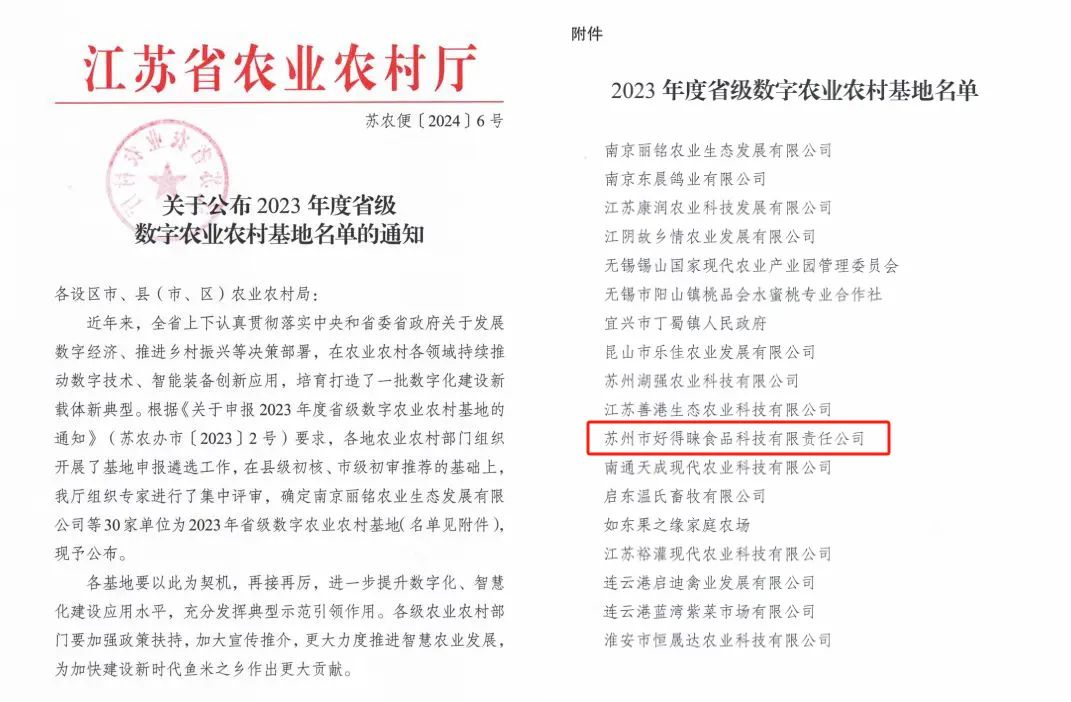 一本色道久久综合无码人妻