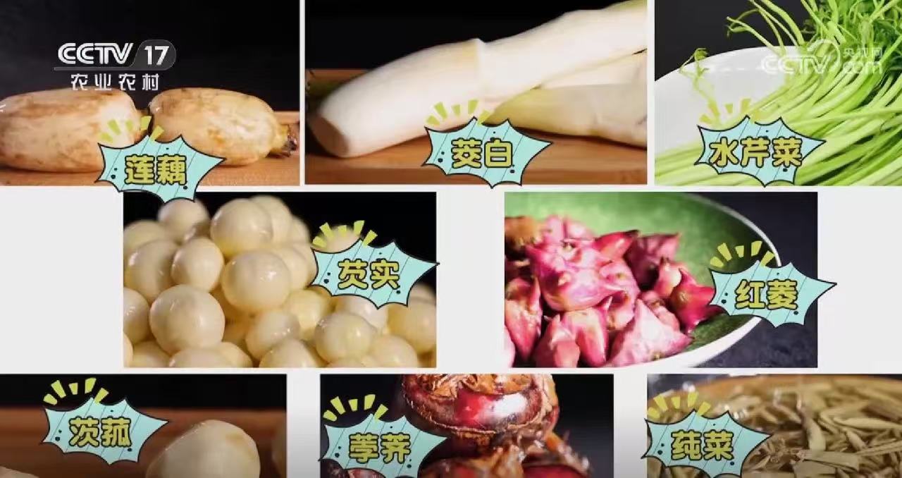 一本色道久久综合无码人妻